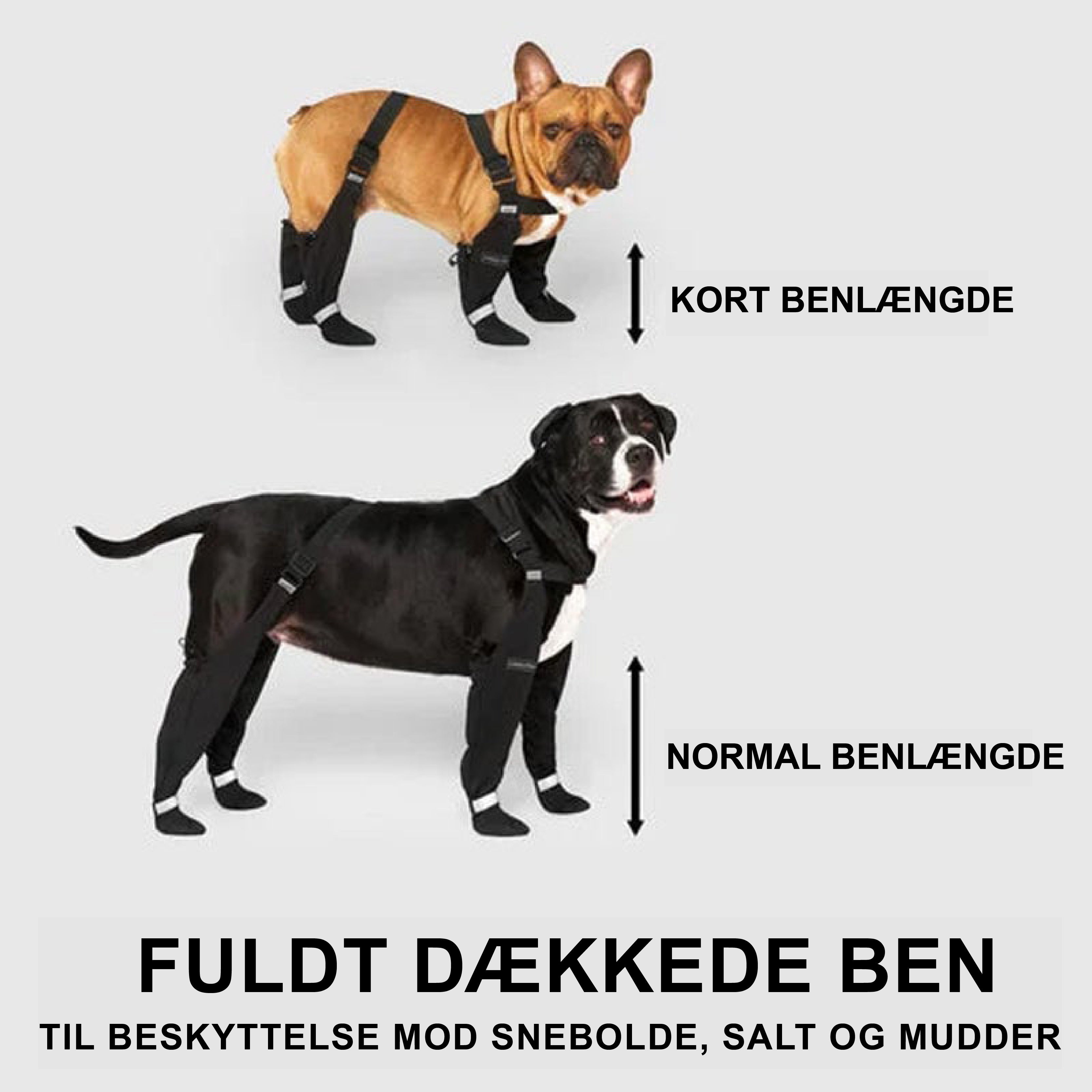 Hunde elsker det!